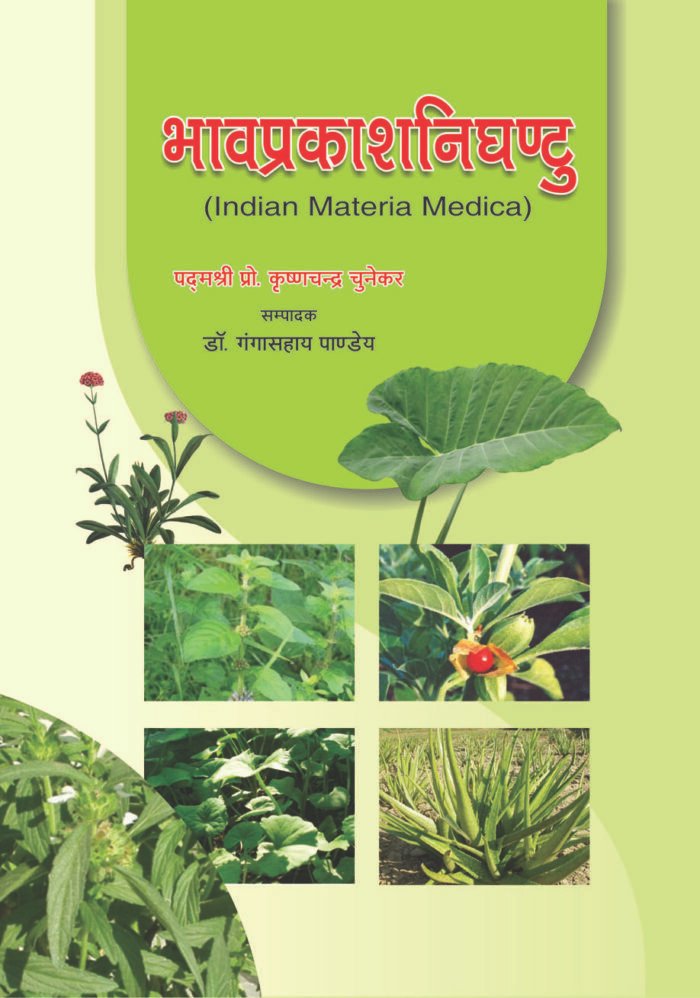 Bhavaprakash Nighantu (Hindi) - Image 1